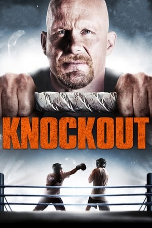 Born to Fight 2011 Hindi Dual Audio | Hindi Dubbed Movie BluRay 300MB