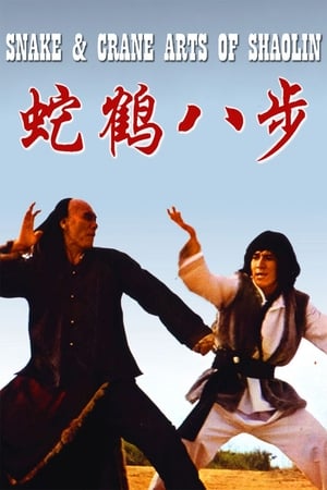 Snake and Crane Arts of Shaolin 1978 Hindi Dual Audio | Hindi Dubbed Movie BluRay 300MB