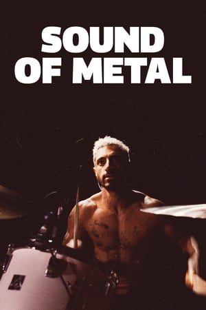 Sound of Metal (2019) Hindi Dual Audio HDRip | Hindi Dubbed Movie – 480p