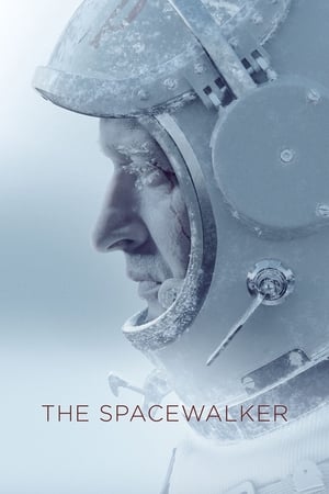 Spacewalk 2017 Hindi Dual Audio HDRip | Hindi Dubbed Movie – 480p